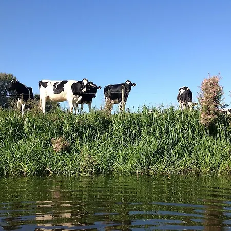 Bed & Breakfast Brakelsveer